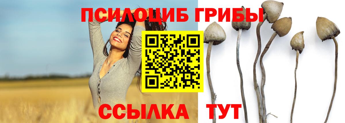 Галлюциногенные грибы GOLDEN TEACHER  Вход с VPN  Галлюциногенные грибы ЛСД  где продают   Анапа 